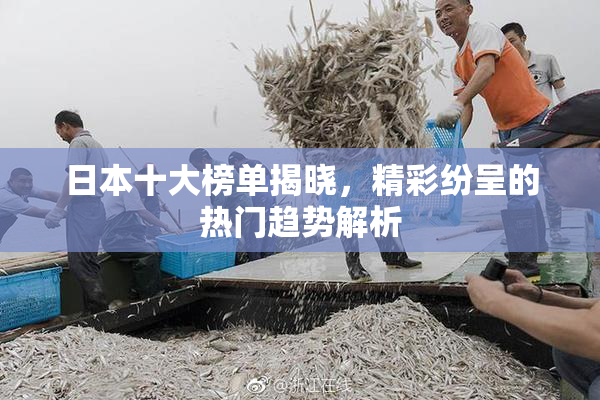 日本十大榜单揭晓，精彩纷呈的热门趋势解析