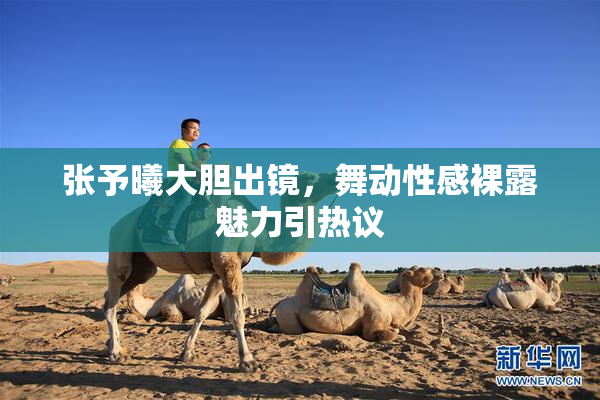 张予曦大胆出镜，舞动性感裸露魅力引热议