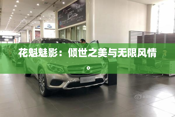 花魁魅影：倾世之美与无限风情。
