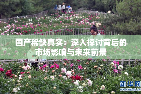 国产稀缺真实：深入探讨背后的市场影响与未来前景
