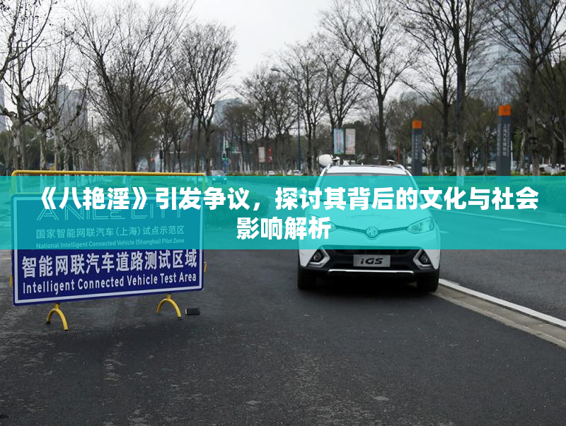 《八艳淫》引发争议，探讨其背后的文化与社会影响解析