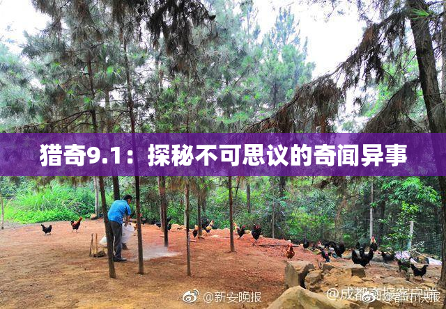 猎奇9.1：探秘不可思议的奇闻异事