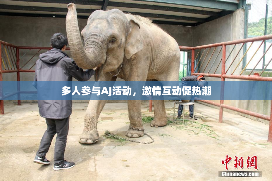 多人参与AJ活动，激情互动促热潮