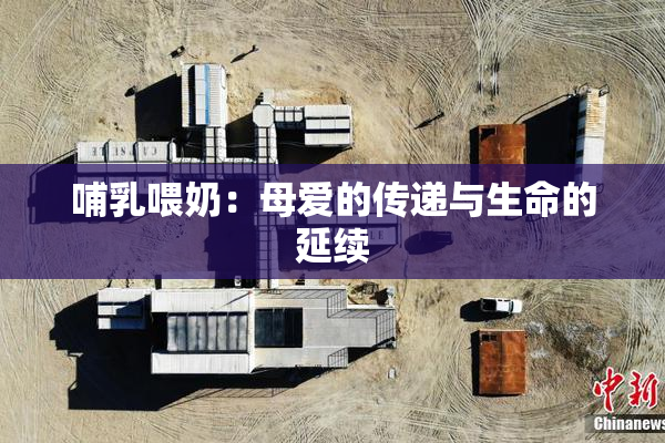 哺乳喂奶：母爱的传递与生命的延续