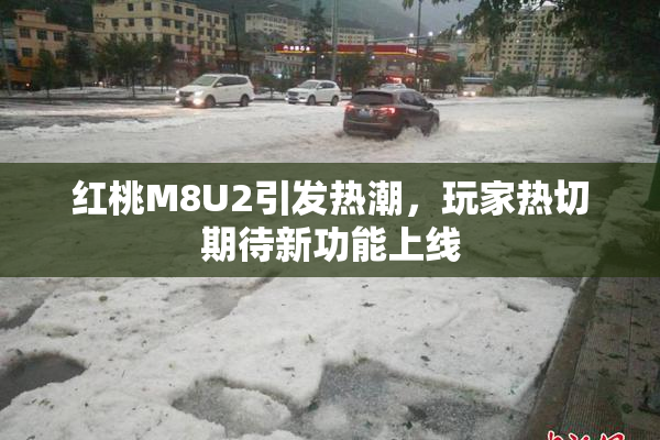 红桃M8U2引发热潮，玩家热切期待新功能上线
