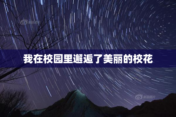 我在校园里邂逅了美丽的校花