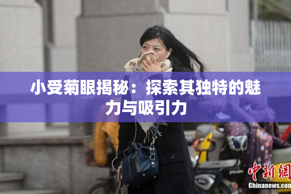 小受菊眼揭秘：探索其独特的魅力与吸引力