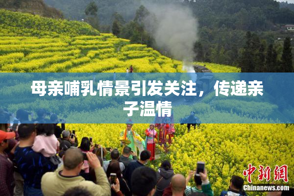 母亲哺乳情景引发关注，传递亲子温情