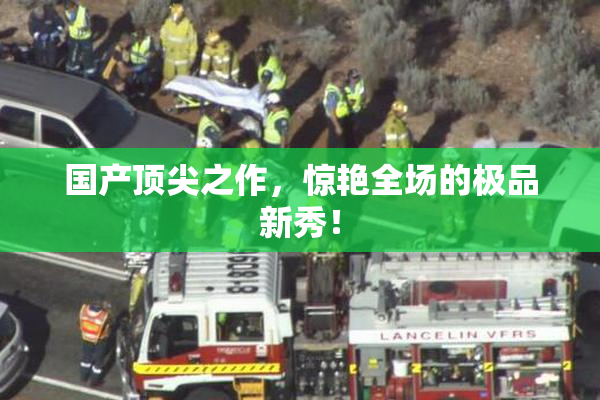 国产顶尖之作，惊艳全场的极品新秀！