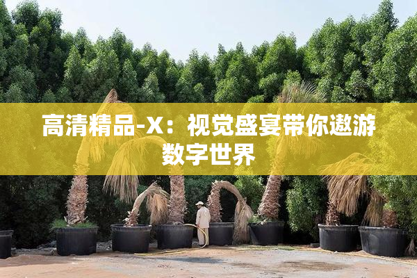 高清精品-X：视觉盛宴带你遨游数字世界