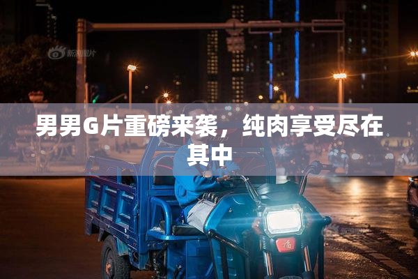 男男G片重磅来袭，纯肉享受尽在其中