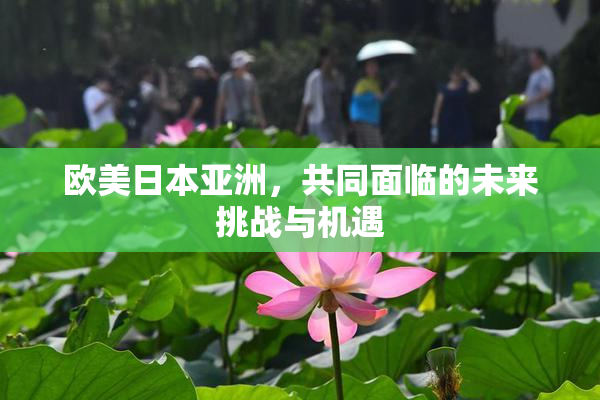 欧美日本亚洲，共同面临的未来挑战与机遇