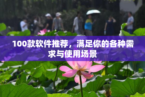 100款软件推荐，满足你的各种需求与使用场景
