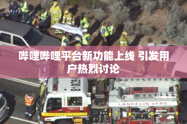哔哩哔哩平台新功能上线 引发用户热烈讨论