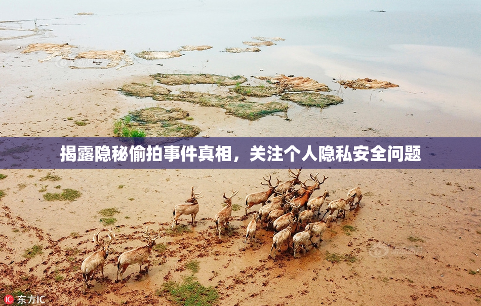 揭露隐秘偷拍事件真相，关注个人隐私安全问题