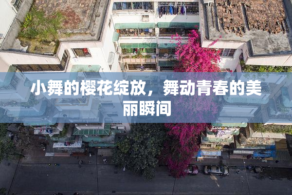 小舞的樱花绽放，舞动青春的美丽瞬间