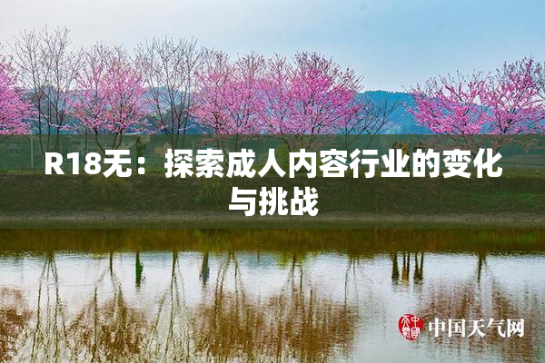 R18无：探索成人内容行业的变化与挑战