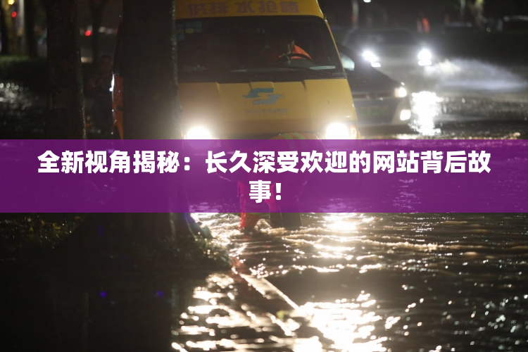 全新视角揭秘：长久深受欢迎的网站背后故事！