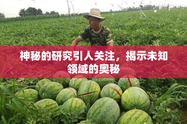 神秘的研究引人关注，揭示未知领域的奥秘