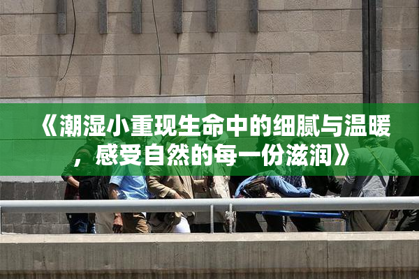 《潮湿小重现生命中的细腻与温暖，感受自然的每一份滋润》