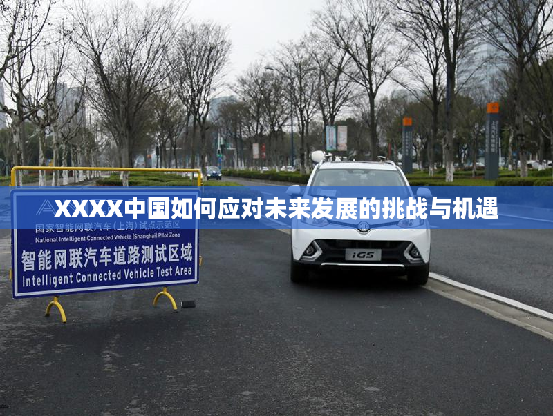 XXXX中国如何应对未来发展的挑战与机遇
