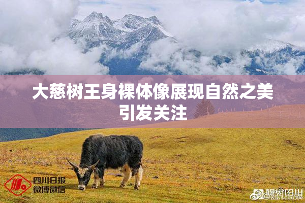 大慈树王身裸体像展现自然之美引发关注