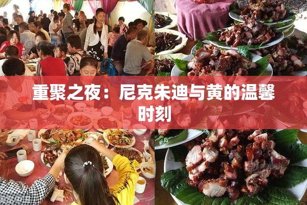 重聚之夜：尼克朱迪与黄的温馨时刻