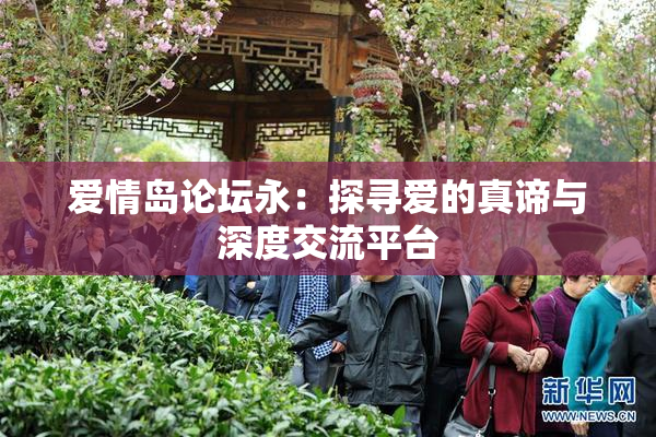 爱情岛论坛永：探寻爱的真谛与深度交流平台