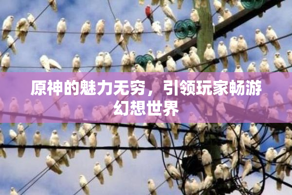 原神的魅力无穷，引领玩家畅游幻想世界