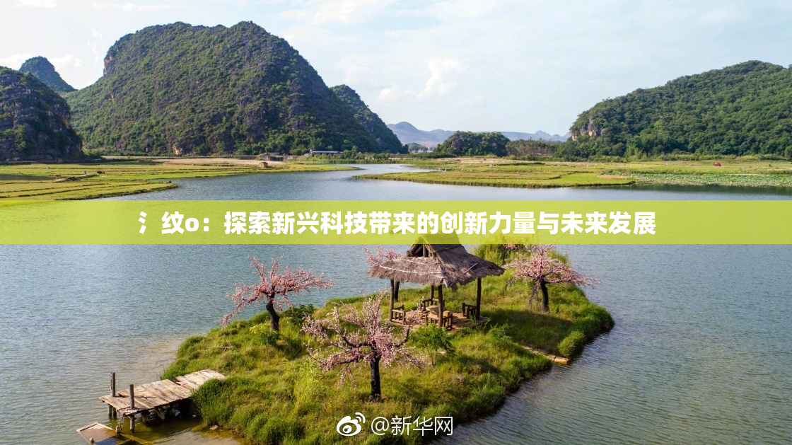 氵纹o：探索新兴科技带来的创新力量与未来发展