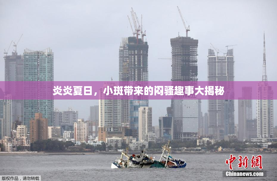炎炎夏日，小斑带来的闷骚趣事大揭秘