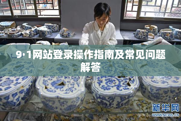 9·1网站登录操作指南及常见问题解答