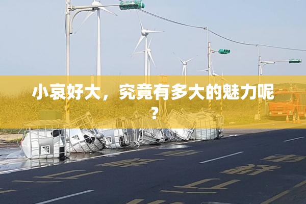 小哀好大，究竟有多大的魅力呢？