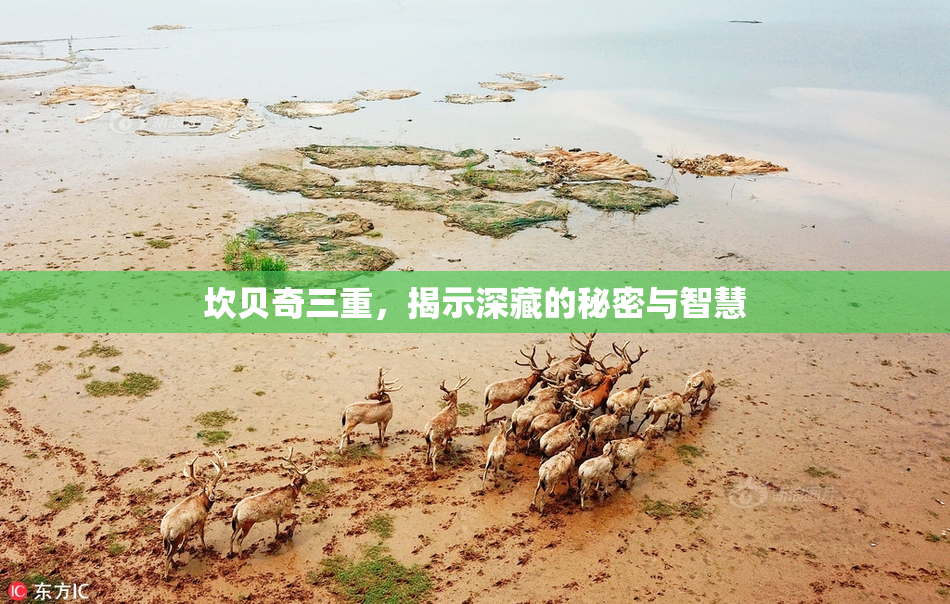 坎贝奇三重，揭示深藏的秘密与智慧