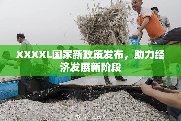 XXXXL国家新政策发布，助力经济发展新阶段