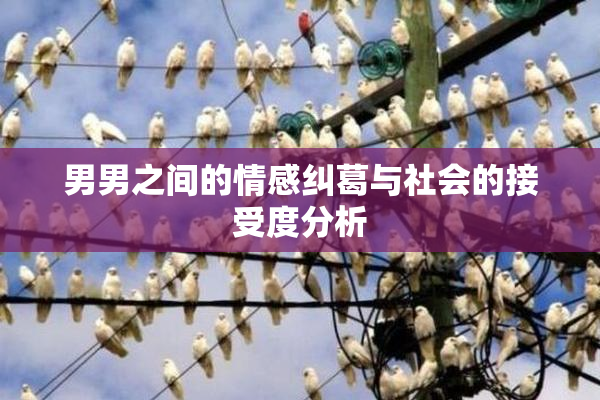 男男之间的情感纠葛与社会的接受度分析