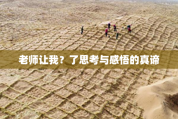 老师让我？了思考与感悟的真谛