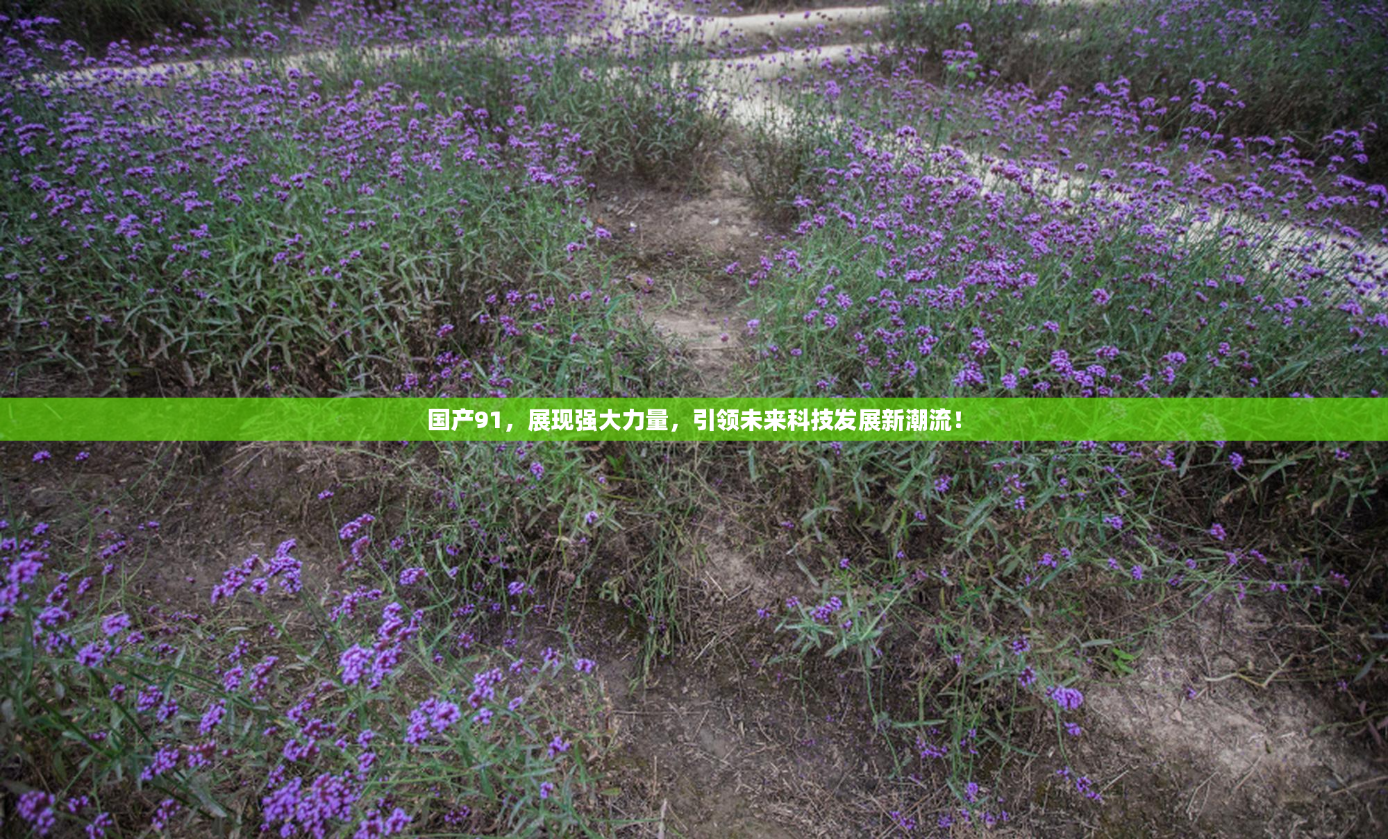 国产91，展现强大力量，引领未来科技发展新潮流！