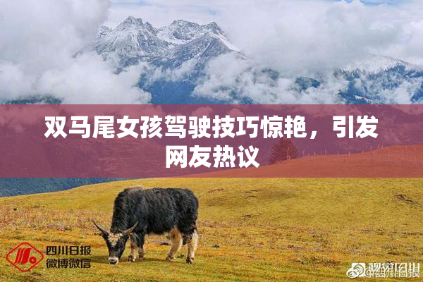 双马尾女孩驾驶技巧惊艳，引发网友热议