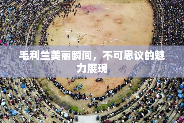 毛利兰美丽瞬间，不可思议的魅力展现