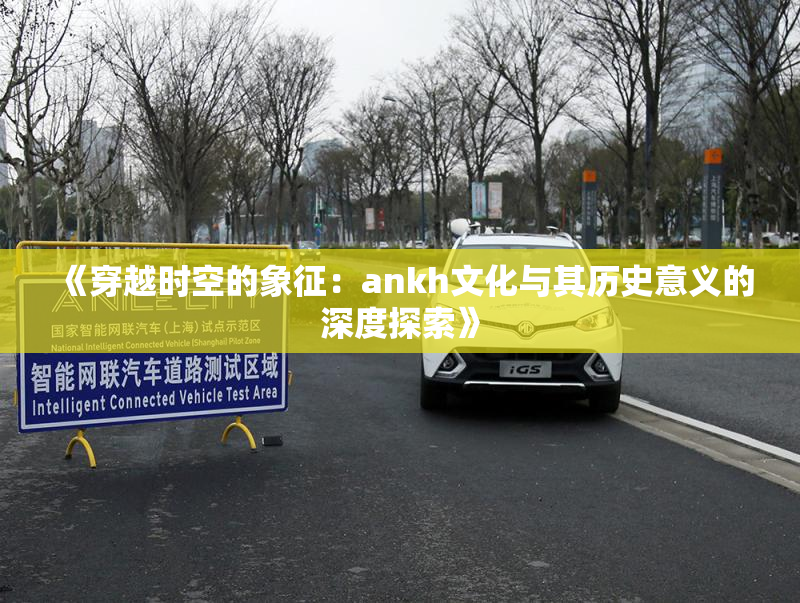 《穿越时空的象征：ankh文化与其历史意义的深度探索》