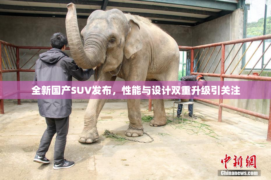 全新国产SUV发布，性能与设计双重升级引关注