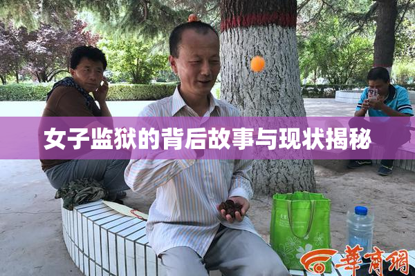 女子监狱的背后故事与现状揭秘