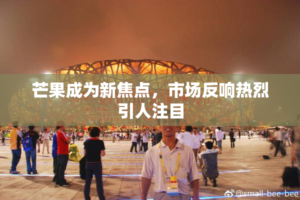 芒果成为新焦点，市场反响热烈引人注目