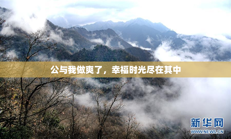 公与我做爽了，幸福时光尽在其中
