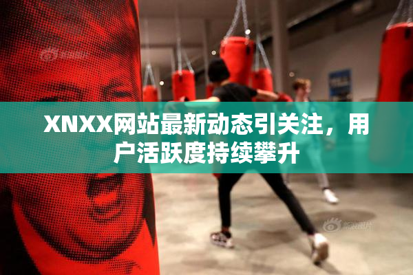 XNXX网站最新动态引关注，用户活跃度持续攀升