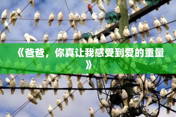 《爸爸，你真让我感受到爱的重量》