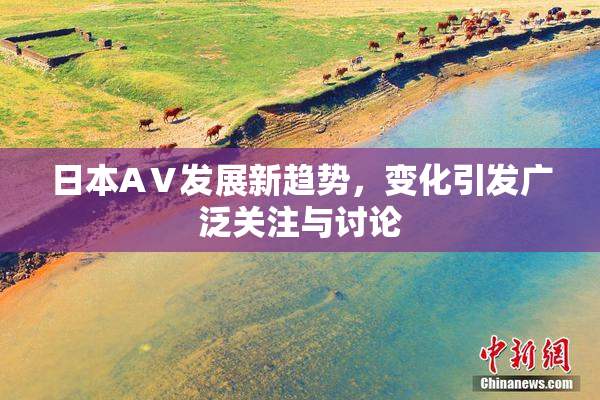 日本AⅤ发展新趋势，变化引发广泛关注与讨论