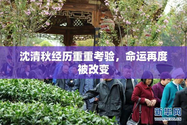 沈清秋经历重重考验，命运再度被改变