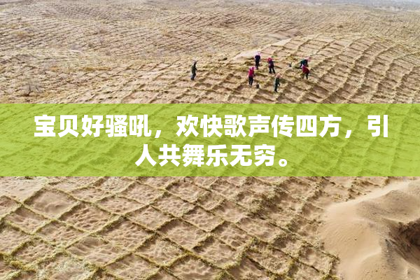 宝贝好骚吼，欢快歌声传四方，引人共舞乐无穷。